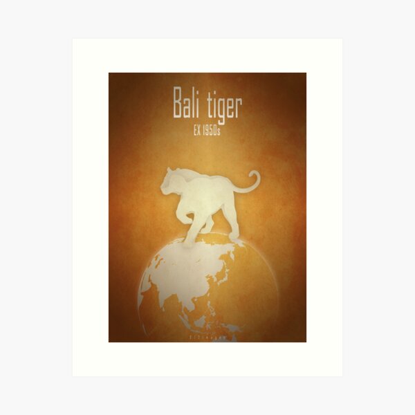 Bali tiger - extinct animals Art Print