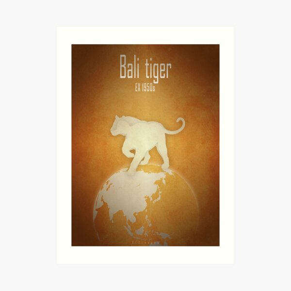 Bali tiger - extinct animals Art Print