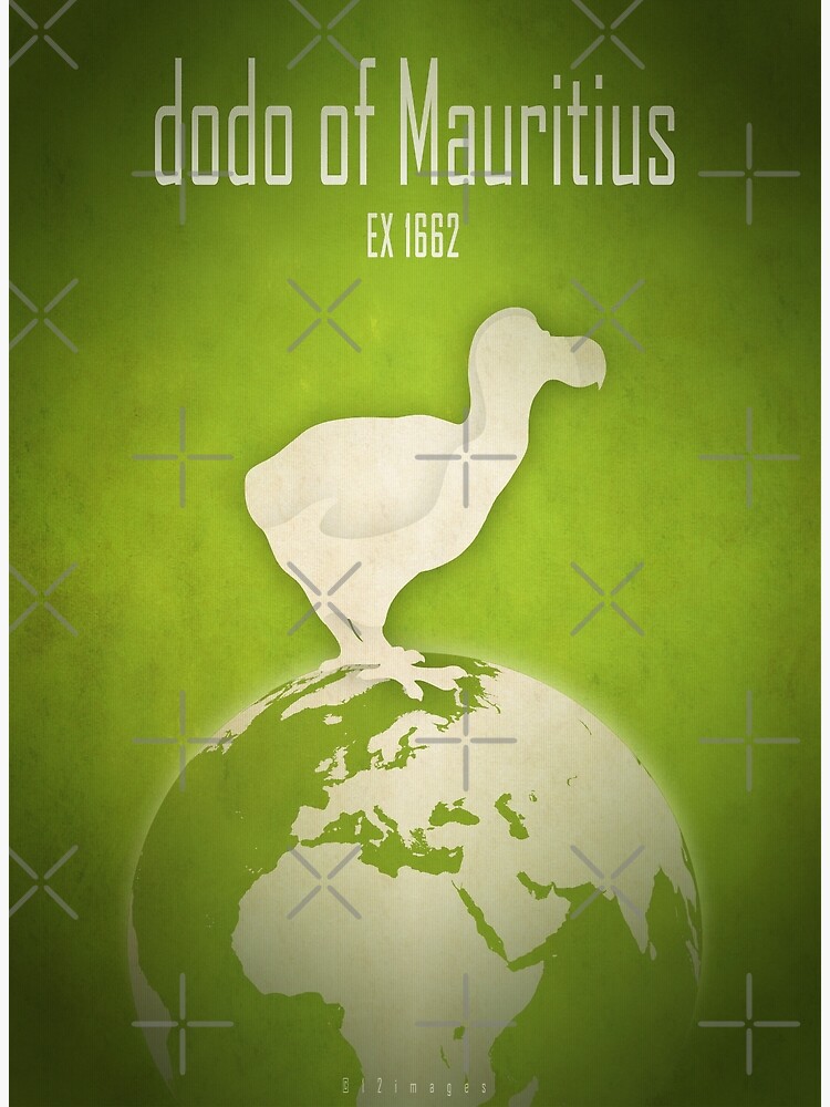 Thumbnail 3 of 3, Art Print, Dodo of Mauritius - extinct animals designed and sold by 12images.