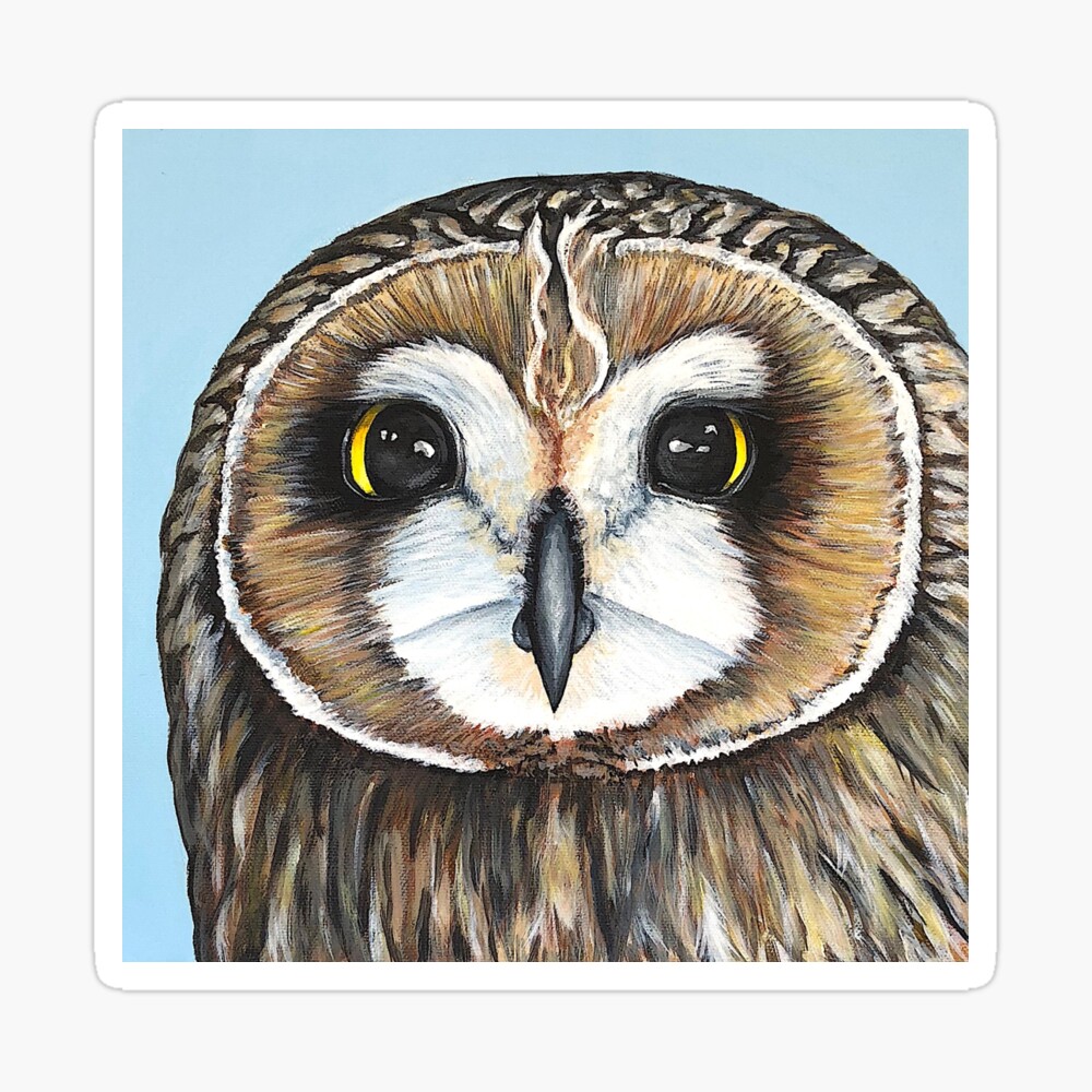 Masque Eugene Un Hibou Des Marais Par Julieglass Redbubble