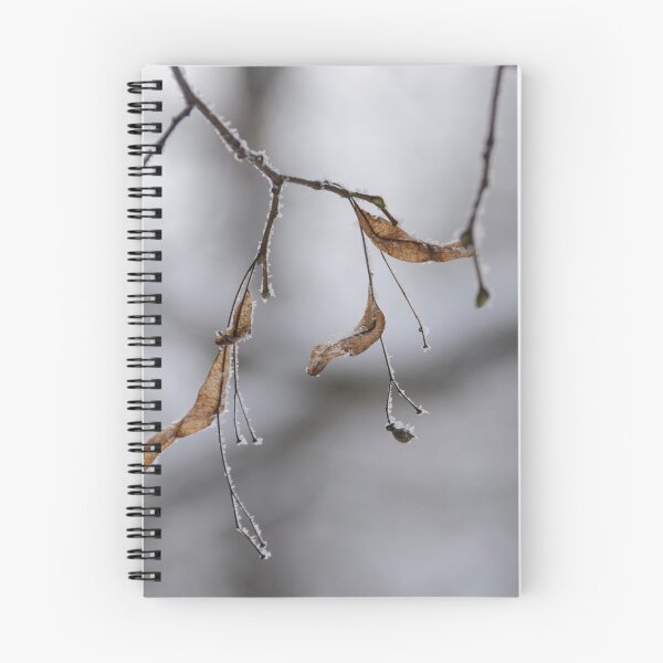 Item preview, Frozen Basswood Leaves designed and sold by denis-romanov.