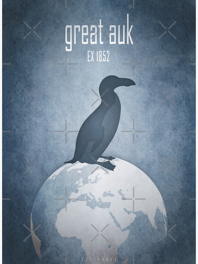 Thumbnail 3 of 3, Art Print, Great auk - extinct animals designed and sold by 12images.