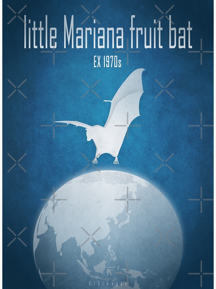 Thumbnail 3 of 3, Art Print, Little Mariana fruit bat/Guam flying fox - extinct animals designed and sold by 12images.