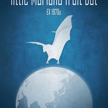Artwork thumbnail, Little Mariana fruit bat/Guam flying fox - extinct animals by Moira Risen