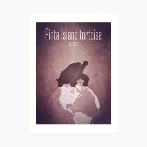 Pinta Island tortoise/Giant turtle - extinct animals Art Print