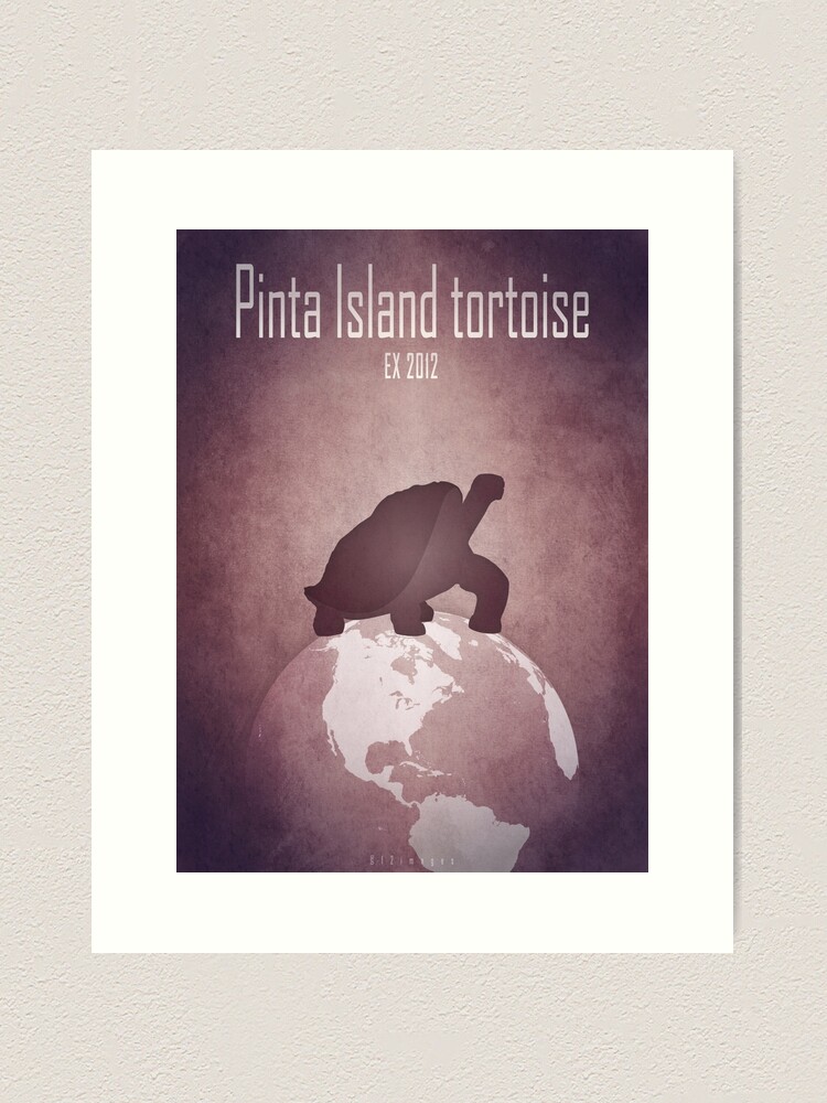 Thumbnail 1 of 3, Art Print, Pinta Island tortoise/Giant turtle - extinct animals designed and sold by 12images.
