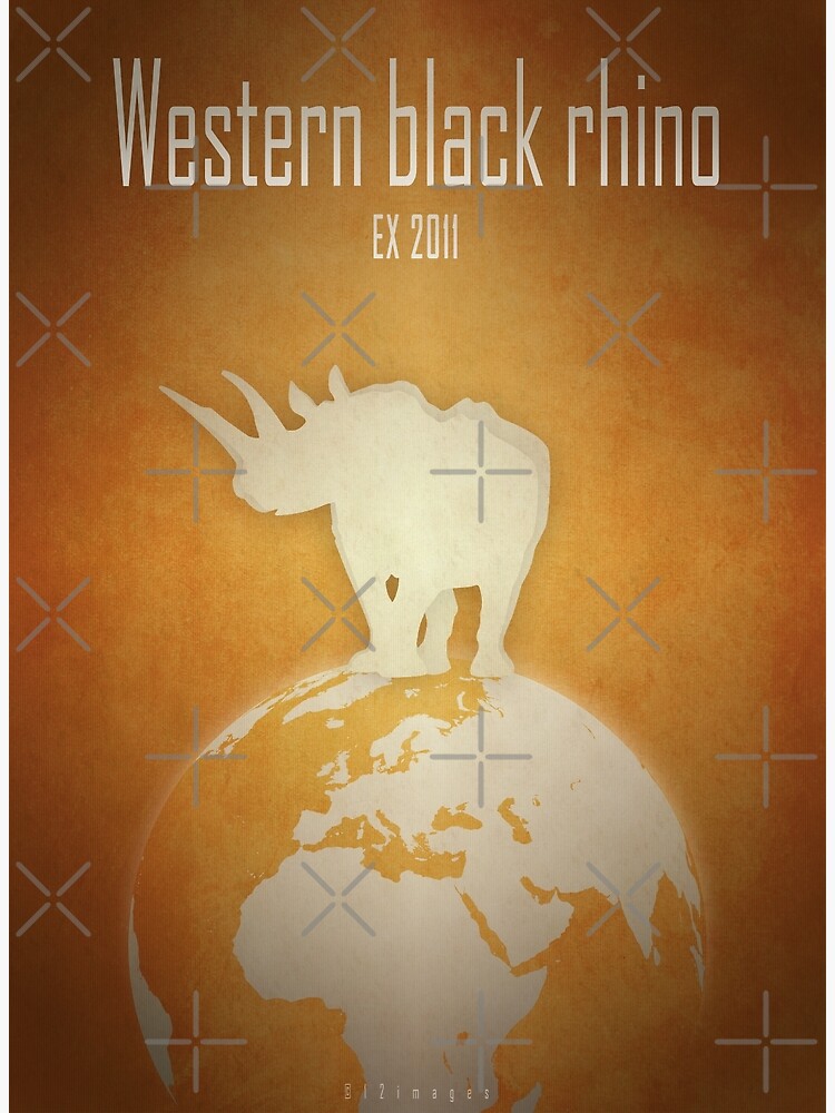 Thumbnail 3 of 3, Art Print, Western black rhinoceros - extinct animals designed and sold by 12images.