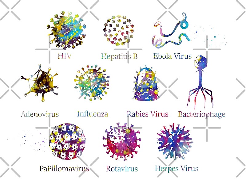 a different virus heartfire pdf download