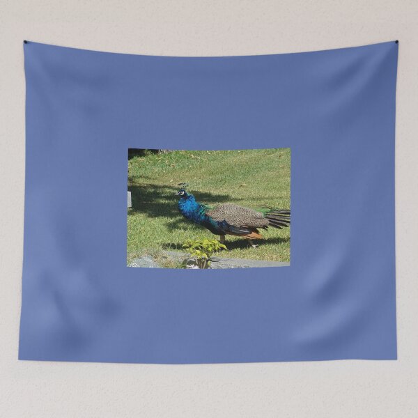 Item preview, Peacock Strutting along designed and sold by 2CrabbySisters.