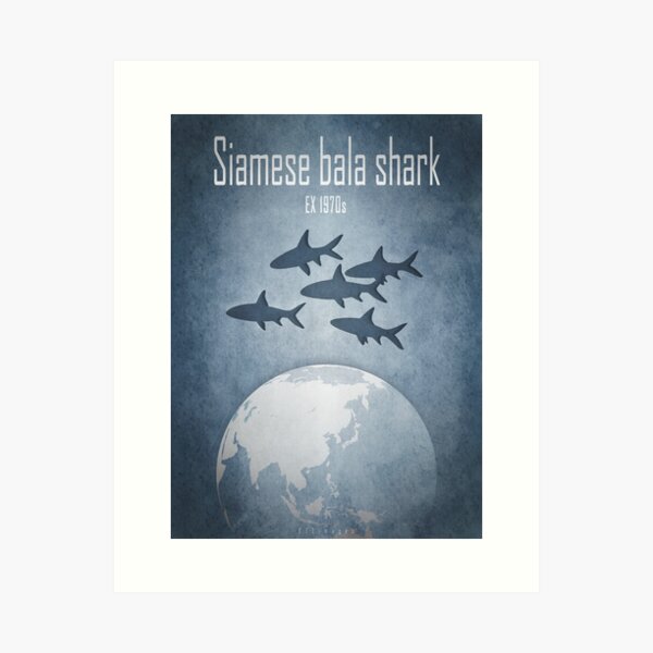 Siamese bala shark - extinct animals Art Print