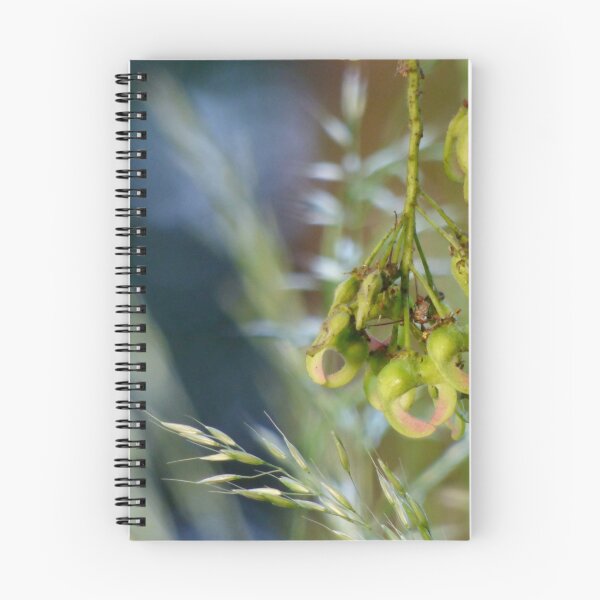 Item preview, Sycamore Seeds designed and sold by Louisamhocking.
