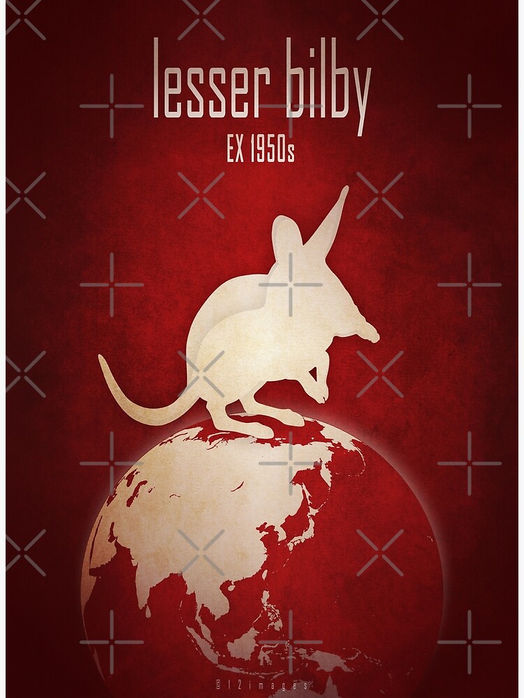 Thumbnail 3 of 3, Art Print, Lesser bilby/yallara - extinct animals designed and sold by 12images.