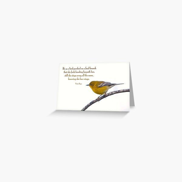 Item preview, Be as a bird perched on a frail branch . . . designed and sold by Bonnie T.  Barry.