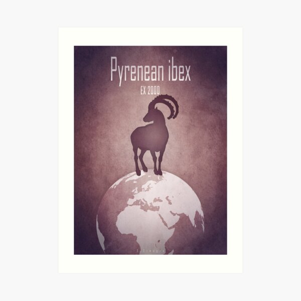 Pyrenean ibex - extinct animals Art Print