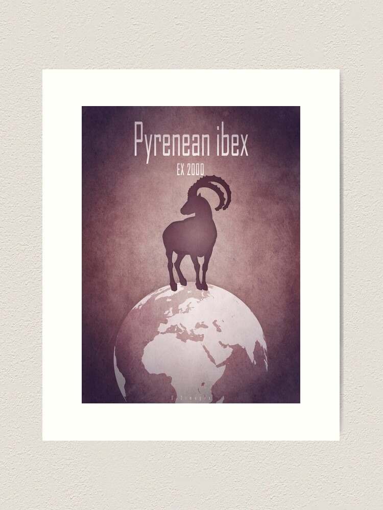 Thumbnail 1 of 3, Art Print, Pyrenean ibex - extinct animals designed and sold by 12images.