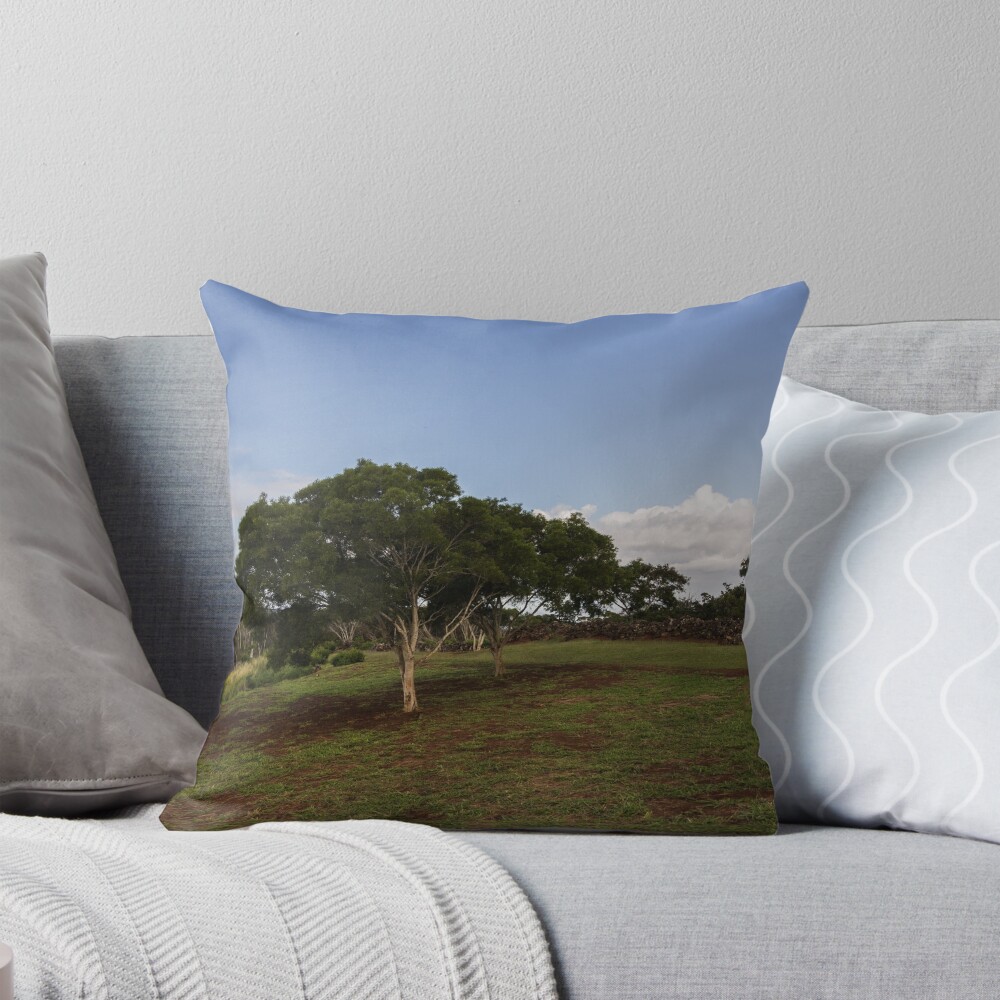 Item preview, Throw Pillow designed and sold by KensLensDesigns.