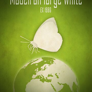 Artwork thumbnail, Madeiran large white butterfly - extinct animals by Moira Risen