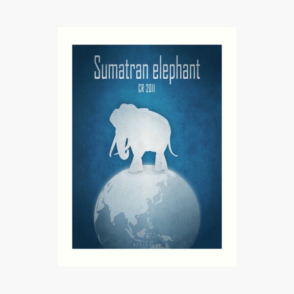 Sumatran elephant - endangered species Art Print