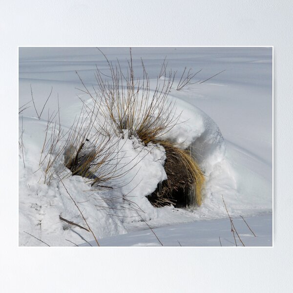 Item preview, Refuge from the Cold designed and sold by Victoria Jostes.