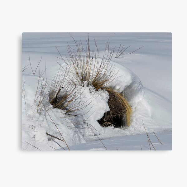 Item preview, Refuge from the Cold designed and sold by Victoria Jostes.