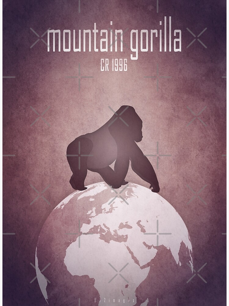 Thumbnail 3 of 3, Art Print, Mountain gorilla - endangered animals designed and sold by 12images.