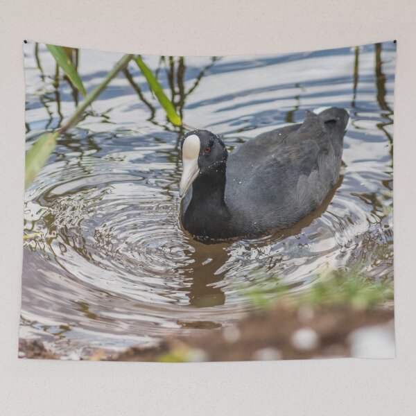 Item preview, Hawaiian coot of Honolulu designed and sold by KensLensDesigns.