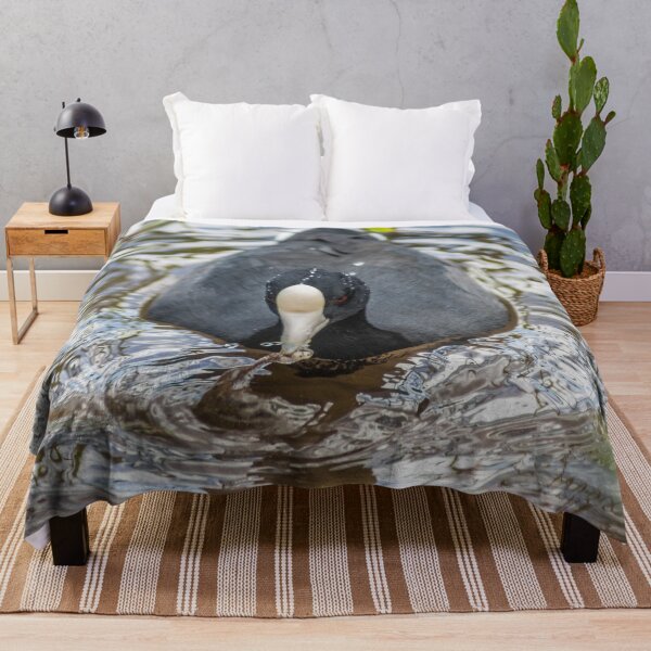 Item preview, Hawaiian coot in Honolulu designed and sold by KensLensDesigns.