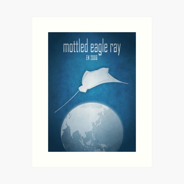 Mottled eagle ray - endangered species Art Print