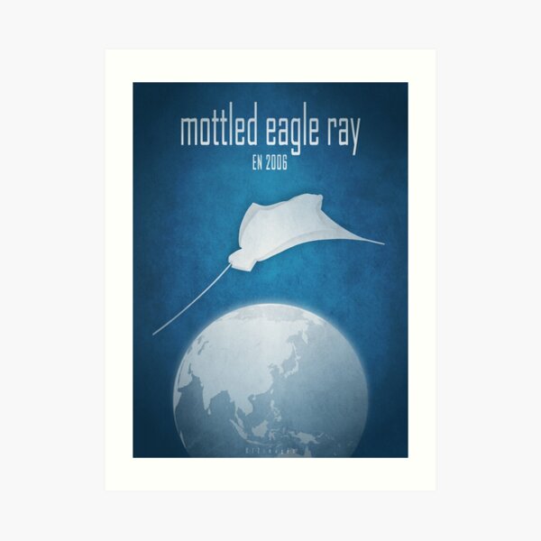 Mottled eagle ray - endangered species Art Print