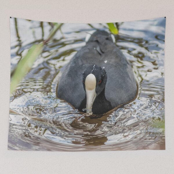 Item preview, Hawaiian coot in Honolulu 2 designed and sold by KensLensDesigns.
