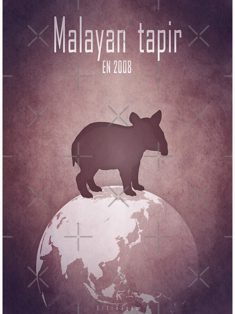 Thumbnail 3 of 3, Art Print, Malayan tapir - endangered animals designed and sold by 12images.
