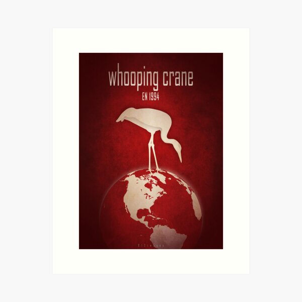 Whooping crane - endangered animals Art Print