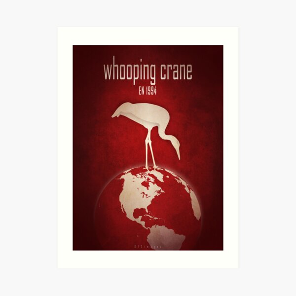 Whooping crane - endangered animals Art Print