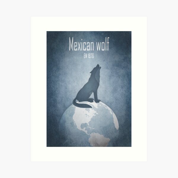 Mexican wolf - endangered animals Art Print