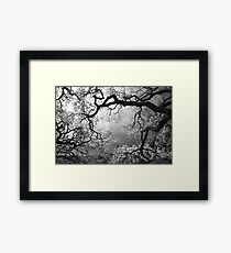 Sheltering Sky Framed Print
