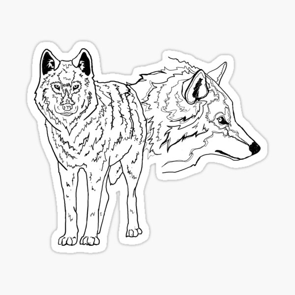 "Two timber wolves" Sticker for Sale by rsutton Redbubble