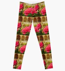 Turkey. Istanbul. Roses of the Blue Mosque. Leggings