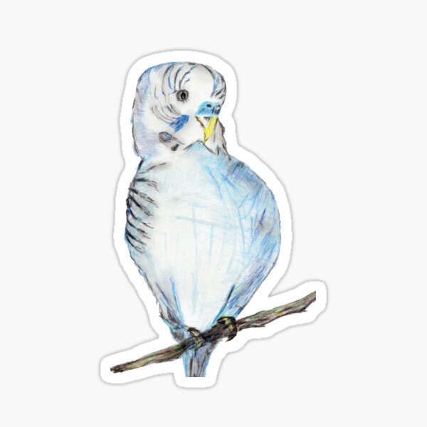 Parakeet Sticker