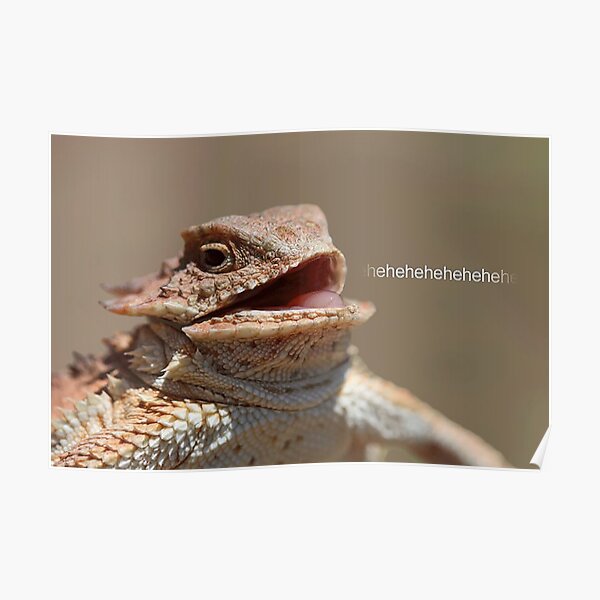 Laughing Lizard Meme Poster