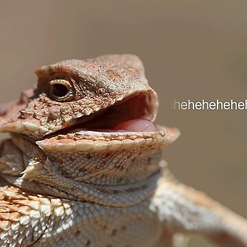 Laughing Lizard Meme” Pillow for Sale by Meme Economy | Redbubble