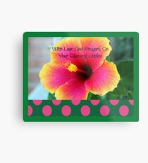 Nuns or Clergy Silver Jubilee Hibiscus Flower Metal Print
