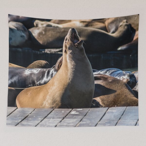 Item preview, Tan Sea Lion designed and sold by KensLensDesigns.