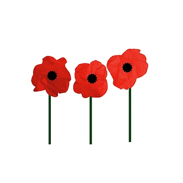 Aperçu de l'œuvre Souvenir (Coquelicots Rouges) de Mike Mitchell