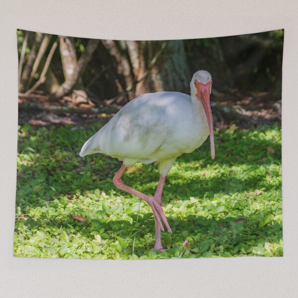 Item preview, Hopping White Ibis 2 designed and sold by KensLensDesigns.