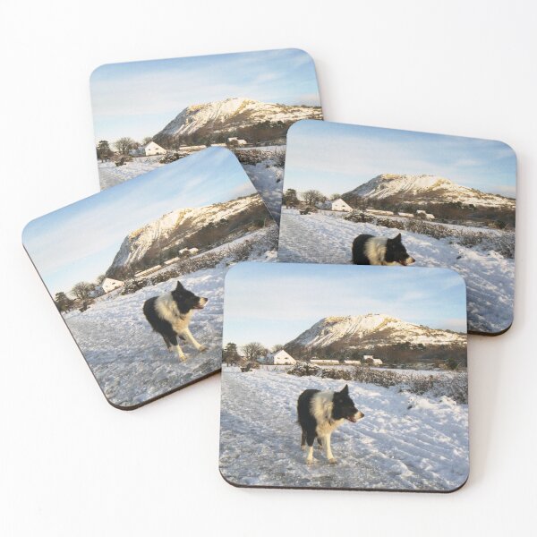 Item preview, Indy in the snow designed and sold by Michael Haslam.