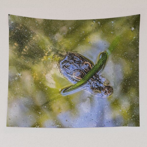 Item preview, Wild Baby Alligator designed and sold by KensLensDesigns.