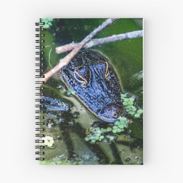Item preview, Alligator In The Wild designed and sold by KensLensDesigns.