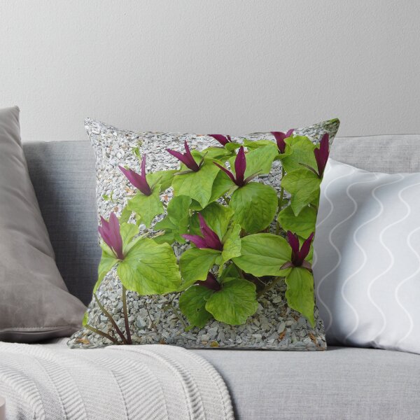 Item preview, Trillium Cuneatum designed and sold by Graeme  Hyde.
