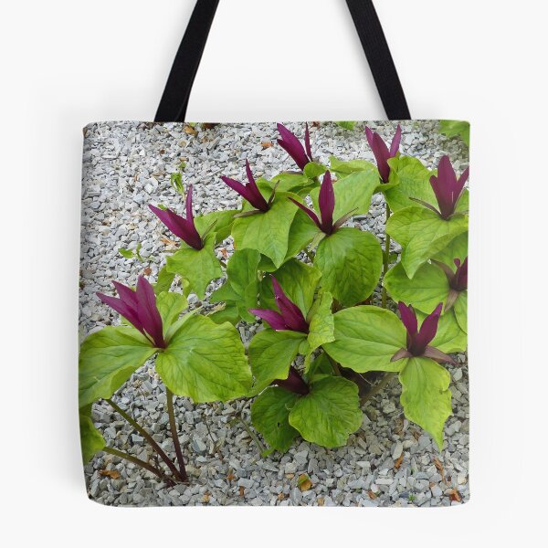 Item preview, Trillium Cuneatum designed and sold by Graeme  Hyde.