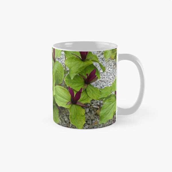 Item preview, Trillium Cuneatum designed and sold by Graeme  Hyde.